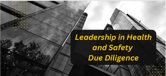 eBook - Leadership Series Due Diligence